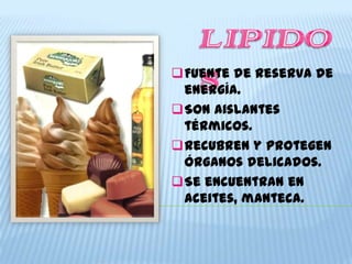 Fuente de reserva de
 energía.
Son aislantes
 térmicos.
Recubren y protegen
 órganos delicados.
Se encuentran en
 aceites, manteca.
 