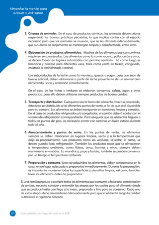 Alimentar la mente para
   crecer y vivir sanos




         3.	Crianza de animales. En el caso de productos cárnicos, los animales deben criarse
            respetando las buenas prácticas pecuarias, lo que implica contar con el espacio
            necesario para que los animales se muevan, que se les alimente adecuadamente,
            que sus áreas de alojamiento se mantengan limpias y desinfectadas, entre otras.

         4.	Elaboración de productos alimenticios. Muchos de los alimentos que consumimos
            requieren ser procesados. Los alimentos como la carne vacuna, pollo, cerdo y otros,
            se deben faenar en lugares autorizados con permiso sanitario. La carne luego se
            fracciona y procesa para diferentes usos, tales como venta en fresco, congelado,
            enlatado o deshidratado (cecina).

         	 Los subproductos de la leche como la manteca, quesos o yogur, para que sean de
           buena calidad, deben elaborarse a partir de leche proveniente de un animal bien
           alimentado, sano y ordeñado correctamente.

         	 En el caso de las frutas y verduras se elaboran conservas, salsas, jugos y otros
           productos; para ello deben utilizarse siempre productos de buena calidad.

         5.	Transporte y distribución. Cualquiera sea la forma del alimento, fresco o procesado,
            éste debe ser distribuido a los diferentes puntos de venta, a fin de que esté disponible
            para su compra. Los alimentos se deben transportar en camiones limpios y cerrados.
            En el caso de productos refrigerados y/o congelados, el camión deberá contar con el
            sistema de refrigeración correspondiente. Para asegurar que los alimentos lleguen a
            todos los puntos del país, es necesario contar con caminos en buen estado durante
            todo el año.

         6.	Almacenamiento y puntos de venta. En los puntos de venta, los alimentos
            siempre se deben almacenar en lugares limpios, secos y a la temperatura que
            exija su procesamiento. Los productos como las verduras, la leche, la carne, se
            deben guardar bajo refrigeración. También los productos secos que se almacenan
            a temperatura ambiente, como fideos, arroz, harinas y otros, siempre deben
            mantenerse envasados. La mandioca, papa y batata, también se pueden conservar
            por un tiempo a temperatura ambiente.

         7.	Preparación y consumo. Una vez adquiridos los alimentos, deben almacenarse en la
            casa, en un lugar adecuado o prepararlos inmediatamente. Durante la preparación,
            es importante mantener todas las superficies y utensilios limpios, así como también
            lavar los alimentos antes de prepararlos.

      Si una familia produce o compra todos los alimentos que consume o hace una combinación
      de ambos, necesita conocer y entender las etapas por las cuales pasa el alimento desde
      que se produce hasta que llega a la mesa, preparado y listo para su consumo. Cada una
      de estas etapas debe desarrollarse adecuadamente para que el alimento tenga la calidad
      nutricional e higiénica deseada.




67
67    Guía didáctica del Segundo ciclo de la EEB
 