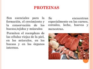PROTEINAS
Son esenciales para la
formación, el crecimiento y
la conservación de los
huesos,tejidos y músculos
Permiten el reemplazo de
las células viejas de la piel,
en los músculos, en los
huesos y en los órganos
internos.
Se encuentran
especialmente en las carnes,
cereales, leche, huevos y
menestras.
 
