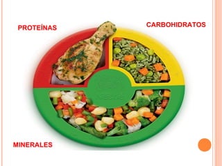 CARBOHIDRATOSPROTEÍNAS
MINERALES
 