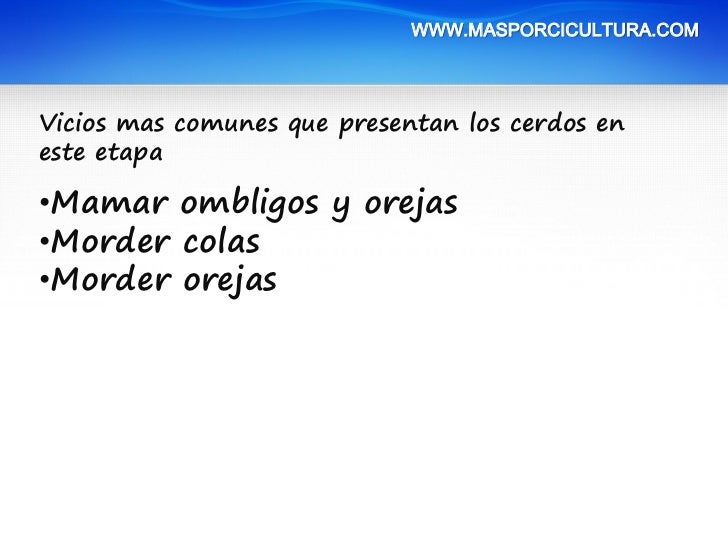 limpiar sexo lechón limpiar sexo lechón