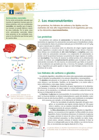 Las proteínas, los hidratos de carbono y los lípidos son los
nutrientes de más alto requerimiento en el organismo; por eso,
se los denomina macronutrientes.
Las proteínas
Las proteínas son cadenas de aminoácidos. La función de las proteínas es
suministrar al organismo los aminoácidos necesarios para el metabolismo celular.
La recomendación diaria de proteínas indicada por la FAO/OMS es de 0,75 g/kg
de peso corporal para los adultos.
Las proteínas se encuentran tanto en alimentos de origen vegetal (especial-
mente, legumbres y cereales) como de origen animal (carnes, lácteos y huevos).
Estas últimas son consideradas de o completas, pues con-
tienen todos los aminoácidos esenciales y su composición de aminoácidos es
similar a la de las proteínas humanas. Las proteínas de origen vegetal, en cambio,
son incompletas. Una forma de mejorar la calidad proteica de la alimentación
consiste en realizar una complementación proteica para incorporar todos los
aminoácidos esenciales. De esta manera, los aminoácidos que faltan en la proteí-
na de un alimento son aportados por otra, y viceversa. Por ejemplo, combinando
trigo y legumbres por partes iguales se logra un valor biológico similar al de las
proteínas de la carne.
Los hidratos de carbono o glúcidos
Los glúcidos digeribles y absorbibles de la dieta están representados principalmen-
te por el almidón (un polisacárido) y los azúcares (disacáridos y monosacáridos).
El almidón está presente en los granos de cereales, las harinas obtenidas de
estos últimos y sus derivados. También, en las legumbres y en ciertos tallos o
raíces subterráneos, como papa, batata y mandioca.
La sacarosa y la lactosa son disacáridos de gran importancia en la alimenta-
ción humana. La sacarosa, de origen vegetal, se extrae habitualmente de la caña
de azúcar y de la remolacha, y es utilizada como endulzante o azúcar de mesa. La
lactosa es el disacárido de la leche.
La y la glucosa son monosacáridos. Se encuentran en las frutas y en la
miel. La fructosa también se obtiene industrialmente a partir del almidón, como
jarabe de maíz de alta fructosa (JMAF), y se utiliza como endulzante en reemplazo
de la sacarosa, por ejemplo, en la elaboración de bebidas gaseosas.
Si bien las necesidades de glúcidos dependen del gasto ener-
gético, se recomienda una ingesta mínima diaria de 130 g para
niños y adultos, con un máximo tolerable del 25% del total de
energía proveniente de azúcares añadidos.
La está formada por glúcidos no digeribles y
lignina, y se encuentra en los vegetales. La fibra soluble (en avena,
legumbres, frutas y hortalizas) disminuye el colesterol y la glucosa
en sangre, previene el cáncer de colon y favorece a la microbiota
o flora intestinal mutualista. La fibra insoluble (en tallos, hojas,
cereal entero, salvado) estimula el tránsito intestinal. Si bien la
fibra no es indispensable para la vida, debido a sus efectos favora-
bles, se recomienda una ingesta diaria de 25 a 35 g.
KAPELUSZEDITORAS.A.PROHIBIDASUFOTOCOPIA(LEY11.723)
2. Los macronutrientes
Los aminoácidos obtenidos de las
proteínas alimentarias y corporales se
usan con fines plásticos o energéticos.
(+INFO)
Aminoácidos esenciales
De los veinte aminoácidos naturales que
necesita el organismo humano para sin-
tetizar proteínas, ocho son considerados
esenciales; son aquellos que el organis-
mo humano no puede fabricar a partir
de otras moléculas. Por lo tanto, estos
ocho aminoácidos esenciales deben
estar presentes en las cantidades nece-
sarias en los alimentos que forman parte
de nuestra dieta.
Proteínas alimentarias
Aminoácidos
Célula
Proteínas
corporales
Energía
de la sa
110
Los glúcidos dietarios se absorben mayoritariamente como glucosa, principal
combustible celular. El excedente se almacena en forma de glucógeno.
Duodeno
Hígado
Vesícula
biliar
Conducto
hepático
Conducto
cístico
Conducto
colédoco
Páncreas
Conducto
pancreático
principalAmpolla
de Vater
Vena porta
Arteria mesentérica
superior
Hígado Dieta
Colesterol
HDL LDL
Transporte en sangre
ExcesoEExceceesosososoExce oso
Trombosis
Arteria
Disfunción
endotelial
Espesor
aumentado Placa de
Ateroma
 