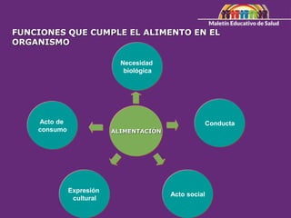 FUNCIONES QUE CUMPLE EL ALIMENTO EN EL
ORGANISMO
ALIMENTACIÓN
Necesidad
biológica
Acto social
Expresión
cultural
Acto de
consumo
Conducta
 