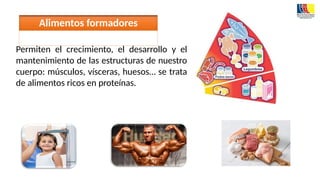 Permiten el crecimiento, el desarrollo y el
mantenimiento de las estructuras de nuestro
cuerpo: músculos, vísceras, huesos… se trata
de alimentos ricos en proteínas.
Alimentos formadores
 