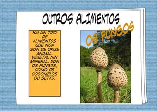 Hai un tipo 
de 
alimentos 
que non 
son de orixe 
animal, 
vexetal nin 
mineral. son 
os fungos, 
como os 
cogomelos 
ou setas. 
 
