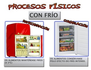 CON FRÍO 
OS ALIMENTOS MANTÉÑENSE FRÍOS 
(A 5ºC) 
OS ALIMENTOS CONSÉRVANSE 
POLO EFECTO DO FRÍO INTENSO. 
 