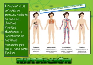 A nutrición é un 
conxunto de 
procesos mediante 
os cales os 
alimentos 
inxeridos 
absórbense e 
convértense en 
nutrientes 
necesarios para 
que o noso corpo 
funcione. 
APARATOS QUE INTERVEÑEN NA NUTRICIÓN 
 