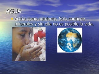 AGUA Actúa como nutriente. Sólo contiene minerales y sin ella no es posible la vida. 