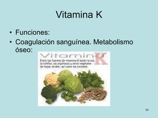 Vitamina K Funciones:  Coagulación sanguínea. Metabolismo óseo: 