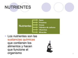 NUTRIENTES Los nutrientes son las  sustancias   químicas  que contienen los alimentos y hacen que funcione el organismo 