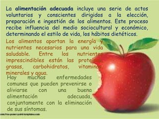 La alimentación adecuada incluye una serie de actos
voluntarios y conscientes dirigidos a la elección,
preparación e ingestión de los alimentos. Este proceso
recibe influencia del medio sociocultural y económico,
determinando el estilo de vida, los hábitos dietéticos.
Los alimentos aportan la energía y
nutrientes necesarios para una vida
saludable.
Entre
los
nutrientes
imprescindibles están las proteínas,
grasas,
carbohidratos,
vitaminas,
minerales y agua.
Hay
muchas
enfermedades
comunes que pueden prevenirse o
aliviarse
con
una
buena
alimentación
adecuada,
conjuntamente con la eliminación
de sus síntomas.

 