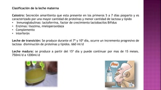 Clasificación de la leche materna
Calostro: Secreción amarillenta que esta presente en los primeros 5 a 7 días posparto y es
caracterizado por una mayor cantidad de proteínas y menor cantidad de lactosa y lípido
• Inmunoglobulinas: lactoferrina, factor de crecimiento lactobacilos Bifidus
• Enzimas: lisozima, mieloperoxidaza
• Complemento
• interferón
Leche de transición: Se produce durante el 7º y 10º día, ocurre un incremento progresivo de
lactosa disminución de proteínas y lípidos. 660 ml/d
Leche madura: se produce a partir del 15º día y puede continuar por mas de 15 meses.
750ml/d a 1200ml/d
 