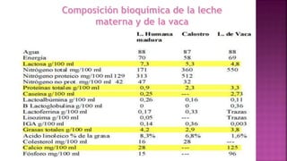 Alimentacion al seno materno