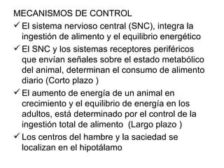 MECANISMOS DE CONTROL
 El sistema nervioso central (SNC), integra la
  ingestión de alimento y el equilibrio energético
 El SNC y los sistemas receptores periféricos
  que envían señales sobre el estado metabólico
  del animal, determinan el consumo de alimento
  diario (Corto plazo )
 El aumento de energía de un animal en
  crecimiento y el equilibrio de energía en los
  adultos, está determinado por el control de la
  ingestión total de alimento (Largo plazo )
 Los centros del hambre y la saciedad se
  localizan en el hipotálamo
 