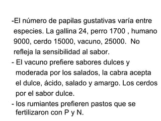 -El número de papilas gustativas varía entre
 especies. La gallina 24, perro 1700 , humano
 9000, cerdo 15000, vacuno, 25000. No
 refleja la sensibilidad al sabor.
- El vacuno prefiere sabores dulces y
  moderada por los salados, la cabra acepta
  el dulce, ácido, salado y amargo. Los cerdos
  por el sabor dulce.
- los rumiantes prefieren pastos que se
  fertilizaron con P y N.
 