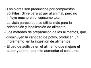 - Los olores son producidos por compuestos
  volátiles. Sirve para atraer al animal, pero no
  influye mucho en el consumo total.
- La vista parece que se utiliza más para la
  orientación y localización de alimento.
- Los métodos de preparación de los alimentos, que
  disminuyen la cantidad de polvo, producen un
  incremento en la ingestión de alimentos
- El uso de aditivos en el alimento que mejore el
  sabor y aroma, permite aumentar el consumo.
 