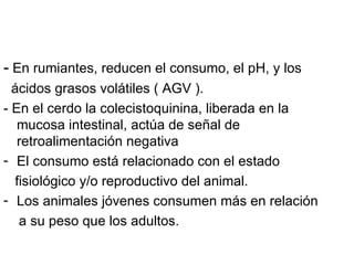 - En rumiantes, reducen el consumo, el pH, y los
  ácidos grasos volátiles ( AGV ).
- En el cerdo la colecistoquinina, liberada en la
   mucosa intestinal, actúa de señal de
   retroalimentación negativa
- El consumo está relacionado con el estado
   fisiológico y/o reproductivo del animal.
- Los animales jóvenes consumen más en relación
    a su peso que los adultos.
 