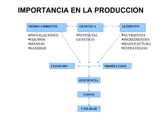 IMPORTANCIA EN LA PRODUCCION

  MEDIO AMBIENTE       GENETICA            ALIMENTO

  •INSTALACIONES      •POTENCIAL           •NUTRIENTES
  •EQUIPOS            GENETICO             •INGREDIENTES
  •MANEJO                                  •MANUFACTURA
  •SANIDAD                                 •ESTRATEGIAS




            CONSUMO                 PRODUCCION



                       EFICIENCIA



                         COSTO



                        UTILIDAD
 