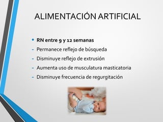 ALIMENTACIÓN ARTIFICIAL
• RN entre 9 y 12 semanas
- Permanece reflejo de búsqueda
- Disminuye reflejo de extrusión
- Aumenta uso de musculatura masticatoria
- Disminuye frecuencia de regurgitación
 
