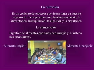 Es un conjunto de procesos que tienen lugar en nuestro organismo. Estos procesos son, fundamentalmente, la alimentación, la respiración, la digestión y la circulación   La alimentación  Ingestión de alimentos que contienen energía y la materia que necesitamos. Alimentos orgánicos o termógenos   Alimentos inorgánicos o organógenos   La nutrición 