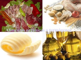Alimentos  orgánicos  o  termógenos   