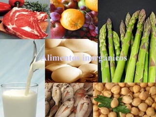 Alimentos inorgánicos 