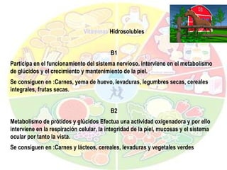 Vitaminas  Hidrosolubles B1 Participa en el funcionamiento del sistema nervioso. interviene en el metabolismo de glúcidos y el crecimiento y mantenimiento de la piel. Se consiguen en :Carnes, yema de huevo, levaduras, legumbres secas, cereales integrales, frutas secas. B2 Metabolismo de prótidos y glúcidos Efectua una actividad oxigenadora y por ello interviene en la respiración celular, la integridad de la piel, mucosas y el sistema ocular por tanto la vista. Se consiguen en :Carnes y lácteos, cereales, levaduras y vegetales verdes 