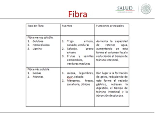 Fibra

 