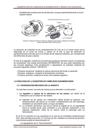 Alimentaciãon de camelidos y manejo de pastizales | PDF