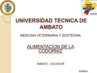 UNIVERSIDAD TECNICA DE
AMBATO
MEDICINA VETERINARIA Y ZOOTECNIA

ALIMENTACION DE LA
CODORNIZ
AMBATO – ECUADOR
Esteban

 