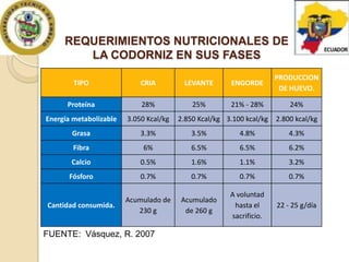 REQUERIMIENTOS NUTRICIONALES DE
LA CODORNIZ EN SUS FASES
TIPO

CRIA

LEVANTE

ENGORDE

PRODUCCION
DE HUEVO.

Proteína

28%

25%

21% - 28%

24%

Energía metabolizable

3.050 Kcal/kg

Grasa

3.3%

3.5%

4.8%

4.3%

Fibra

6%

6.5%

6.5%

6.2%

Calcio

0.5%

1.6%

1.1%

3.2%

Fósforo

0.7%

0.7%

0.7%

0.7%

Cantidad consumida.

Acumulado de
230 g

Acumulado
de 260 g

A voluntad
hasta el
sacrificio.

22 - 25 g/día

FUENTE: Vásquez, R. 2007

2.850 Kcal/kg 3.100 kcal/kg

2.800 kcal/kg

 