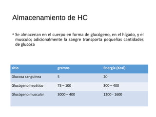 Almacenamiento de HC
• Se almacenan en el cuerpo en forma de glucógeno, en el hígado, y el
musculo; adicionalmente la sangre transporta pequeñas cantidades
de glucosa
sitio gramos Energía (Kcal)
Glucosa sanguínea 5 20
Glucógeno hepático 75 – 100 300 – 400
Glucógeno muscular 3000 – 400 1200 - 1600
 