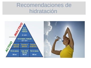 Recomendaciones de
hidratación
 