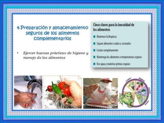 Alimentacion del Niño
