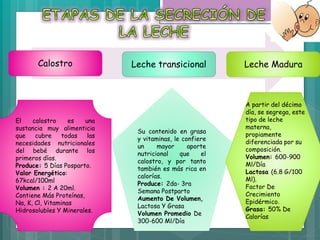 Calostro Leche transicional Leche Madura
El calostro es una
sustancia muy alimenticia
que cubre todas las
necesidades nutricionales
del bebé durante los
primeros días.
Produce: 5 Días Posparto.
Valor Energético:
67kcal/100ml
Volumen : 2 A 20ml.
Contiene Más Proteínas,
Na, K, Cl, Vitaminas
Hidrosolubles Y Minerales.
Su contenido en grasa
y vitaminas, le confiere
un mayor aporte
nutricional que el
calostro, y por tanto
también es más rica en
calorías.
Produce: 2da- 3ra
Semana Postparto
Aumento De Volumen,
Lactosa Y Grasa
Volumen Promedio De
300-600 Ml/Día
A partir del décimo
día, se segrega, este
tipo de leche
materna,
propiamente
diferenciada por su
composición.
Volumen: 600-900
Ml/Día
Lactosa (6.8 G/100
Ml).
Factor De
Crecimiento
Epidérmico.
Grasa: 50% De
Calorías
 