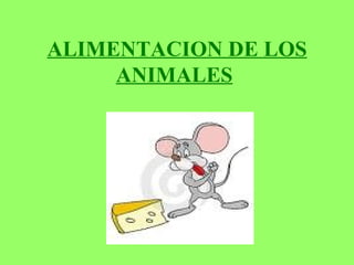 ALIMENTACION DE LOS ANIMALES   