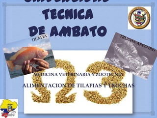 UNIVERSIDAD
TECNICA
DE AMBATO

MEDICINA VETERINARIA Y ZOOTECNIA

ALIMENTACION DE TILAPIAS Y TRUCHAS

 