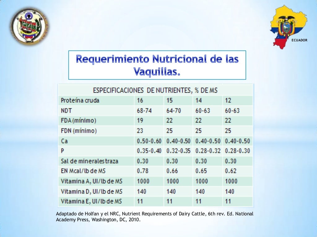 Requerimientos Nutricionales De Bovinos De Leche By C vrogue.co
