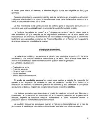 el rumen pasa intacta al abomaso e intestino delgado donde será digerida por los jugos
gástricos.
Respecto al nitrógeno no proteico ingerido, este se transforma en amoniaco en el rumen
y al pasar a la circulación el hígado lo transforma en urea, parte de la cual se incorpora a la
saliva, la otra parte se excreta por la orina.
La flora microbiana es la fuente principal de proteína para el organismo del rumiante y
requiere para su presencia óptima en el rumen de la energía fermentada en este.
La "proteína degradable en rumen" y el "nitrógeno no proteico" son lo mismo para la
flora bacteriana ya que después de la degradación enzimática por la flora ambas son
transformadas en amoniaco; de esta forma las necesidades de nitrógeno para el crecimiento
bacteriano son expresadas en gramos de Proteína Digestible en el Rumen por megacaloría
de energía consumida (metabolizable o neta).

CONDICIÓN CORPORAL

La meta de un nutriólogo es alimentar al ganado para maximizar la producción de leche
manteniendo una máxima eficiencia reproductiva y de salud. Para alcanzar esta meta el
asesor evalúa la eficacia de las recomendaciones que son dadas al ganadero.
Las variables a evaluar son:
•
•
•
•
•

Producción de leche.
Costo del alimento.
Eficiencia reproductiva.
Estado de salud.
"Grado de condición corporal".

El grado de condición corporal es usado para evaluar y calcular la respuesta del
ganado a un programa de alimentación con su respectivo manejo. Esto involucra la
estimación del músculo y cubierta de grasa de los animales y está basado en el principio de
que durante un balance negativo de energía, las carnes se encuentran abatidas.

Los factores primarios que determinan el grado de condición corporal son "Nutrición y
Producción". Al incrementar la producción sin el incremento necesario en el plano de la
nutrición, deprime la condición corporal. Manteniendo el plano nutricional cuando la
producción decrece incrementa la condición corporal.
La condición corporal se aprecia por igual en el hato joven (becerrada) que en el hato de
productoras. A medida que van creciendo los animales se vuelve más difícil mantener su

6

 