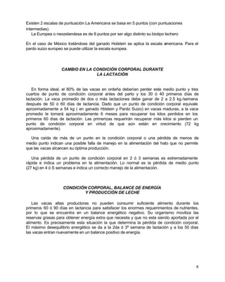 Existen 2 escalas de puntuación La Americana se basa en 5 puntos (con puntuaciones
intermedias).
La Europea o neozelandesa es de 8 puntos por ser algo distinto su biotipo lechero
En el caso de México tratándose del ganado Holstein se aplica la escala americana. Para el
pardo suizo europeo se puede utilizar la escala europea.

CAMBIO EN LA CONDICIÓN CORPORAL DURANTE
LA LACTACIÓN

En forma ideal, el 80% de las vacas en ordeña deberían perder este medio punto y tres
cuartos de punto de condición corporal antes del parto y los 30 ó 40 primeros días de
lactación. La vaca promedio de dos o más lactaciones debe ganar de 2 a 2.5 kg./semana
después de 50 ó 60 días de lactancia. Dado que un punto de condición corporal equivale
aproximadamente a 54 kg ( en ganado H
olstein y Pardo Suizo) en vacas maduras, a la vaca
promedio le tomará aproximadamente 6 meses para recuperar los kilos perdidos en los
primeros 60 días de lactación. Las primerizas requerirán recuperar más kilos si pierden un
punto de condición corporal en virtud de que aún están en crecimiento (72 kg
aproximadamente).
Una caída de más de un punto en la condición corporal o una pérdida de menos de
medio punto indican una posible falla de manejo en la alimentación del hato que no permite
que las vacas alcancen su óptima producción.
Una pérdida de un punto de condición corporal en 2 ó 3 semanas es extremadamente
rápida e indica un problema en la alimentación. Lo normal es la pérdida de medio punto
(27 kg) en 4 ó S semanas e indica un correcto manejo de la alimentación.

CONDICIÓN CORPORAL, BALANCE DE ENERGÍA
Y PRODUCCIÓN DE LECHE
Las vacas altas productoras no pueden consumir suficiente alimento durante los
primeros 60 ó 90 días en lactancia para satisfacer los enormes requerimientos de nutrientes,
por lo que se encuentra en un balance energético negativo. Su organismo moviliza las
reservas grasas para obtener energía extra que necesita y que no esta siendo aportada por el
alimento. Es precisamente esta situación la que determina la pérdida de condición corporal.
El máximo desequilibrio energético se da a la 2da ó 3ª semana de lactación y a los 50 días
las vacas entran nuevamente en un balance positivo de energía.

8

 