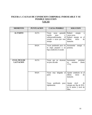 FIGURA 1. CAUSAS DE CONDICION CORPORAL INDESEABLE Y SU
POSIBLE SOLUCION
VACAS
MOMENTO

PUNTUACION

CAUSA POSIBLE

SOLUCION

AL PARTO

ALTA

Vacas secas ganando
mucho
peso
y
sobreacondicionadas
al
secado o secas por mas
tiempo.

Reducir
energía
a
vacas secas.
Reducir energía en el
último
tercio
de
lactación.

BAJA

Vacas perdiendo peso en Incrementar energía o
la etapa preparto o en proteína.
baja condición al secado.

ALTA

Vacas que no alcanzan Incrementar
proteínas
un pico elevado
en
raciones
(hasta
17%)

BAJA

Vacas muy delgadas al Ajustar condición en el
parto
último
tercio
de
lactación.

EN EL PICO DE
LACTACION

Vacas perdiendo
rápidamente

peso Ajustar nivel
de
energía por Kg de M.S.
de la ración y nivel de
fibra.

10

 