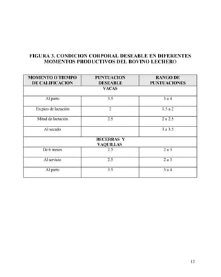 FIGURA 3. CONDICION CORPORAL DESEABLE EN DIFERENTES
MOMENTOS PRODUCTIVOS DEL BOVINO LECHERO
MOMENTO O TIEMPO
DE CALIFICACION

PUNTUACION
DESEABLE

RANGO DE
PUNTUACIONES

VACAS
Al parto

3.5

3a4

En pico de lactación

2

1.5 a 2

Mitad de lactación

2.5

2 a 2.5

Al secado

3 a 3.5

De 6 meses

BECERRAS Y
VAQUILLAS
2.5

2a3

Al servicio

2.5

2a3

Al parto

3.5

3a4

12

 