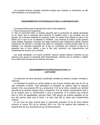 Los animales jóvenes necesitan suficiente energía para sostener su crecimiento, su alto
nivel metabólico y su actividad física.

REQUERIMIENTOS NUTRICIONALES PARA LA REPRODUCCIÓN

Los requerimientos para la reproducción caen en dos categorías:
1.- Para la reproducción de gametos.
2.- Para el crecimiento fetal. La energía requerida para lo producción de células germinales
no es mayor que la requerida para mantener el equilibrio sano a los animales. Así por
ejemplo, los rumiantes pastando en pasturas mixtas: no suelen tener déficits en calcio ni en
fósforo por lo que no se ve afectada su fertilidad.. Una carencia de fosforo puede generar
ciclos estrales irregulares. Animales que están perdiendo peso rápidamente debido a pobres
condiciones de alimento y animales que están con sobrepeso o gordos pueden fallar en su
fertilidad. Los nutrientes requeridos por el feto en crecimiento son mayores al final de la
gestación que al inicio debido a que el feto está creciendo, sus requerimientos son
virtualmente los mismos de un neonato.
Las vacas saludables y en buena condición corporal, pueden destinar nutrientes de sus
reservas para apoyar el desarrollo fetal temporalmente, mientras que la cantidad y calidad
de su dieta suele ser baja por ser dieta de vaca seca.

REQUERIMIENTOS NUTRICIONALES PARA LA
LACTACION

La producción de leche demanda considerable cantidad de proteína, energía, minerales y
vitaminas.
La necesidad de proteína es grande debido a que la leche contiene algo más de 3% de
este importante nutriente. Para ejemplificar la necesidad de proteína valga el siguiente
ejemplo: Una vaca pesando 675 kg y produciendo 13.5 kg de leche, necesita una cantidad
equivalente de alimento (materia seca.) conteniendo 15% de proteína representando esto 2
kg de proteína para su mantenimiento y para la producción. Si la proteína que consume
tiene un 60% de digestibilidad, entonces habrá 1200 gramos de proteina digestible de los
que 405 gramos serán para la leche y el resto (casi 800 g.) serán para mantenimiento
corporal.
Si una vaca de peso corporal igual al mencionado produjera 45 kg de leche debería
consumir al menos 22.5 kg de alimento (M.S.) con 15% de proteína para satisfacer un
requerimiento de 33 g. de proteína por kg. de leche producido.

3

 