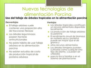 Nuevas tecnologías de
                 alimentación Porcina
Uso del follaje de árboles tropicales en la alimentación porcina
Desventajas                            Ventajas
   El follaje arbóreo suele            Los árboles tropicales constituyen
                                         un recurso alimentario disponible
    contener una proporción alta         localmente
    de fracciones fibrosas              La producción de follaje arbóreo
   Los árboles leguminosos              es perenne
    poseen factores                     El rendimiento anual de biomasa
                                         en materia seca y proteína
    antinutricionales                    puede ser mayor que el de
   No existe hábito de usar follaje     granos y
    arbóreo en la alimentación          otros recursos alimentarios

    porcina                             Los árboles forrajeros pueden
                                         cultivarse como cualquier otro
   No existen estudios de costo         tipo de planta, y pueden ser
    de producción tropical de            utilizados
    proteína arbórea                    para la finca familiar o en el
                                         sistema de plantaciones
 