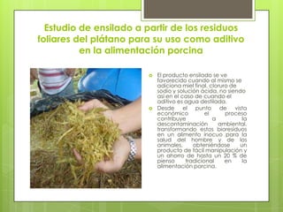 Estudio de ensilado a partir de los residuos
foliares del plátano para su uso como aditivo
          en la alimentación porcina

                           El producto ensilado se ve
                            favorecido cuando al mismo se
                            adiciona miel final, cloruro de
                            sodio y solución ácida, no siendo
                            así en el caso de cuando el
                            aditivo es agua destilada.
                           Desde el punto de vista
                            económico          el      proceso
                            contribuye            a          la
                            descontaminación        ambiental,
                            transformando estos bioresiduos
                            en un alimento inocuo para la
                            salud del hombre y de los
                            animales,     obteniéndose      un
                            producto de fácil manipulación y
                            un ahorro de hasta un 20 % de
                            pienso     tradicional     en    la
                            alimentación porcina.
 