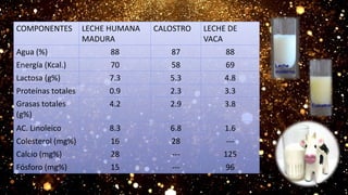 COMPONENTES LECHE HUMANA
MADURA
CALOSTRO LECHE DE
VACA
Agua (%) 88 87 88
Energía (Kcal.) 70 58 69
Lactosa (g%) 7.3 5.3 4.8
Proteínas totales 0.9 2.3 3.3
Grasas totales
(g%)
4.2 2.9 3.8
AC. Linoleico 8.3 6.8 1.6
Colesterol (mg%) 16 28 ---
Calcio (mg%) 28 --- 125
Fósforo (mg%) 15 --- 96
 