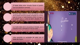 El bebé debe estar situado frente al pezón,
con una postura cómoda.
El pezón debe alojarse al final del paladar y parte
de la areola mamaria quedar atrapada en la boca,
que es lo que el bebe presiona entre la lengua y
el paladar para exprimir la leche situada en los
senos galactóforos.
La madre debe tener una postura cómoda, con la
espalda recta y apoyada (si está sentada).
Otra posición es acostada de lado con el
bebe de frente.
 
