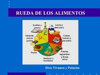 RUEDA DE LOS ALIMENTOS Dres Vivanco y Palacios  