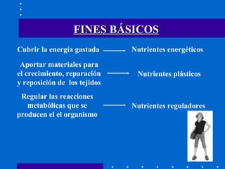 Cubrir la energía gastada Nutrientes energéticos Aportar materiales para el crecimiento, reparación y reposición de  los tejidos Nutrientes plásticos Regular las reacciones metabólicas que se producen el el organismo Nutrientes reguladores FINES BÁSICOS 