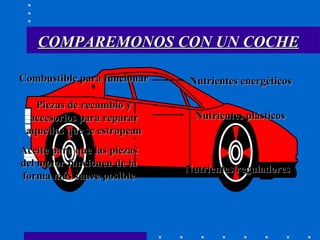 Combustible para funcionar Nutrientes energéticos Piezas de recambio y accesorios para reparar aquellas que se estropean Nutrientes plásticos Aceite para que las piezas del motor funcionen de la forma más suave posible Nutrientes reguladores COMPAREMONOS CON UN COCHE 
